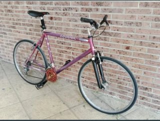 Bicicleta Orbea Dakar Series-Pro Morada