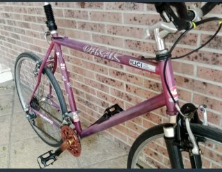 Bicicleta Orbea Dakar Series-Pro Morada