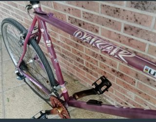 Bicicleta Orbea Dakar Series-Pro Morada