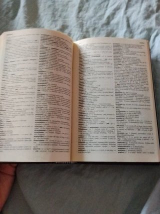 Dizionario Inglese Garzanti
