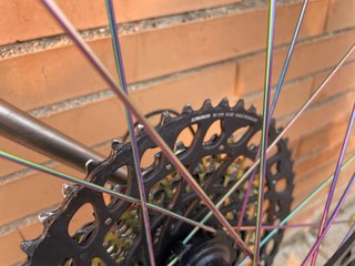 Bicicleta Titanio Van Nicholas Skeiron Talla 54