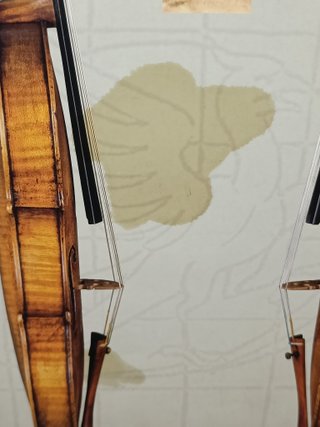 Desplegable Violín Guarneri Del Gesù 1739