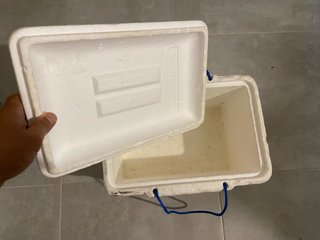 Neverita Polar Box