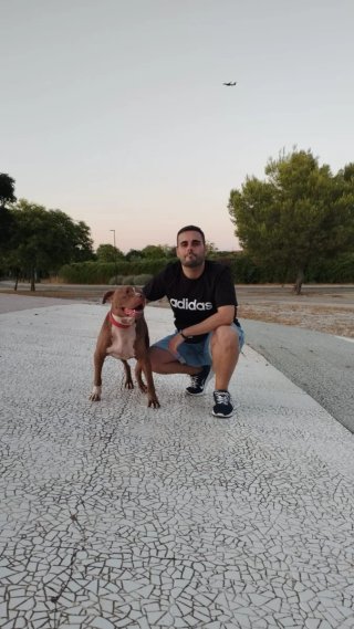 Adiestrador canino