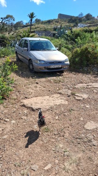 Ford Escort 1996