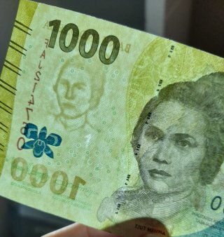 Lote Billetes Asia