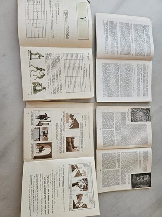 Colección de 4 libros de Latín de Santiago Segura