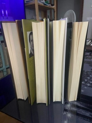 Pack 4 Libros Premios Logroño de Novela - Algaida