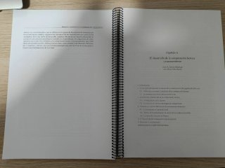 Psicología del Desarrollo II