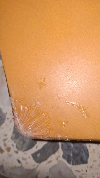 Tabla de surf Hot Buttered Slam Fish