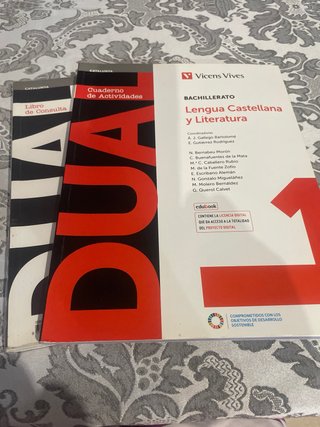 Lengua castellana y literatura * MUY BUEN ESTADO *