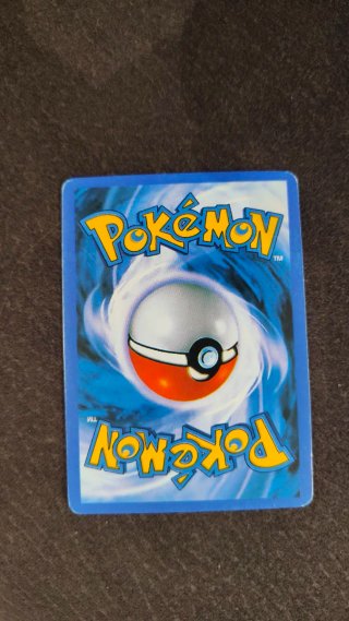 Carta Pokémon Lycanroc VMAX 213/203