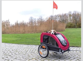 Remolque Trixie para Bicicleta M Rojo/Negro