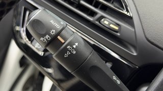 Citroen Grand C4 Picasso 1.6 Bluehdi 120Cv 7 Plaza