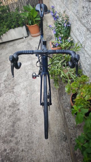Bicicleta de carretera Trek Domane al 2