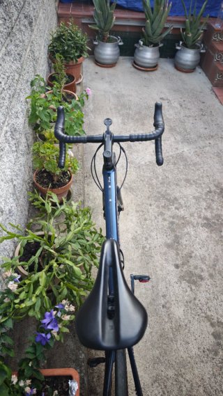 Bicicleta de carretera Trek Domane al 2