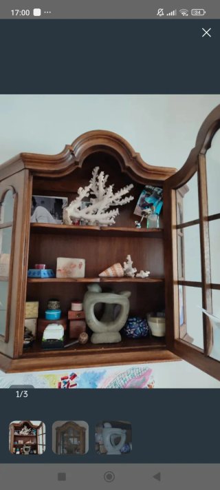 Coral decorativo blanco