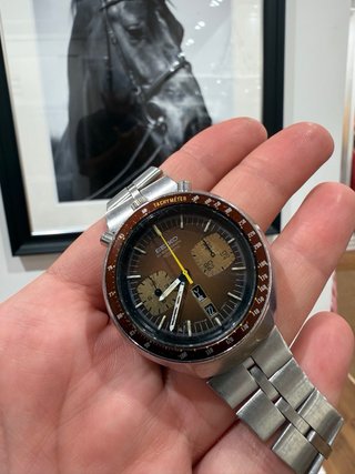 Seiko Bullhead Cronógrafo Automático Marrón