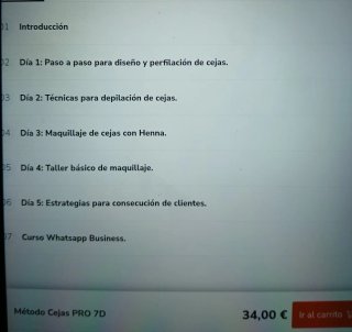 Curso online Metodo cejas Pro 7D