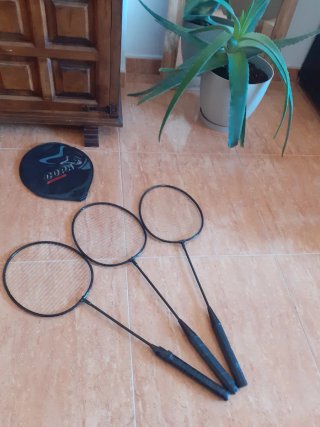 3 Raquetas de Bádminton con funda