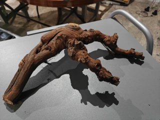 Raíces y ramas para terrarios