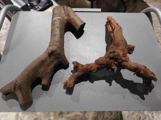 Raíces y ramas para terrarios