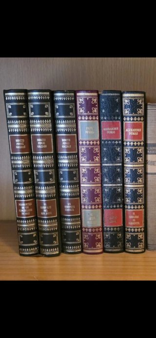 Lote 6 libros clásicos imitación piel dorados