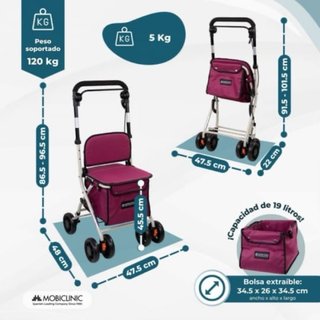 Carro de la compra andador | 4 ruedas
