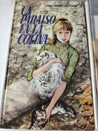 Lote 3 novelas vintage editorial Molino