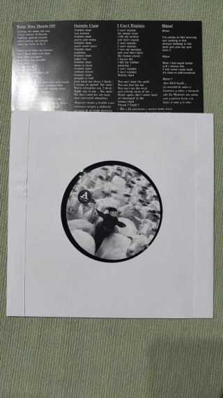 Vinilo Wasted Punk Rock