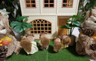 Familia Ardilla sylvanian families