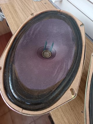 Altavoces vintage Roselson 6x10 Full Range
