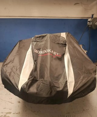Tony Kart KZ motor TM