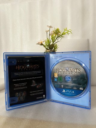 Hogwarts Legacy PS4