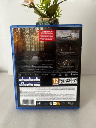 Hogwarts Legacy PS4