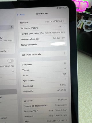 Ipad Mini 6 Gen Wifi+Celular