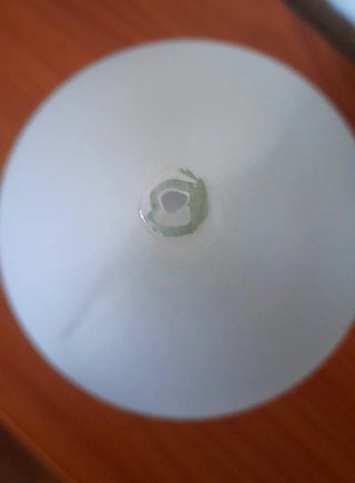 Jarrón Vintage Minimalista Vidrio Blanco