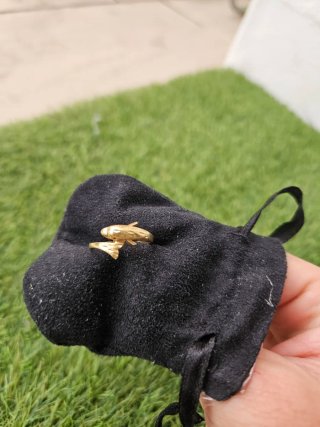 Anillo Delfín Oro 18k