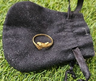 Anillo Delfín Oro 18k