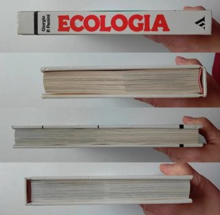 Il grande libro dell'ecologia di Giorgio G.Panini
