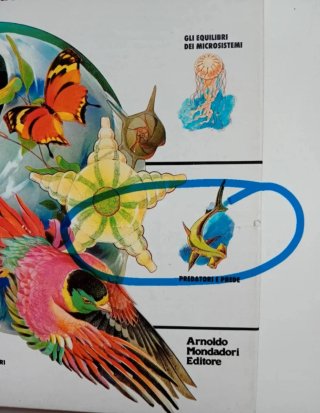 Il grande libro dell'ecologia di Giorgio G.Panini