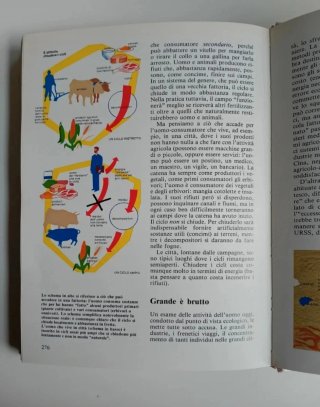 Il grande libro dell'ecologia di Giorgio G.Panini