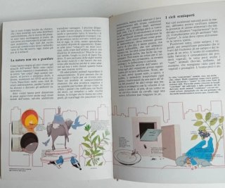 Il grande libro dell'ecologia di Giorgio G.Panini