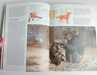 Il grande libro dell'ecologia di Giorgio G.Panini