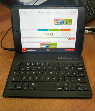 iPad mini 5ª gen Gris + funda teclado