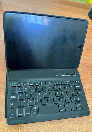 iPad mini 5ª gen Gris + funda teclado