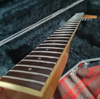 Mástil Guitarra Vintage Aria Pro II XR
