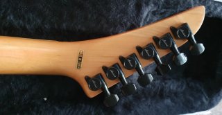Mástil Guitarra Vintage Aria Pro II XR