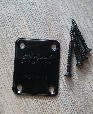Mástil Guitarra Vintage Aria Pro II XR
