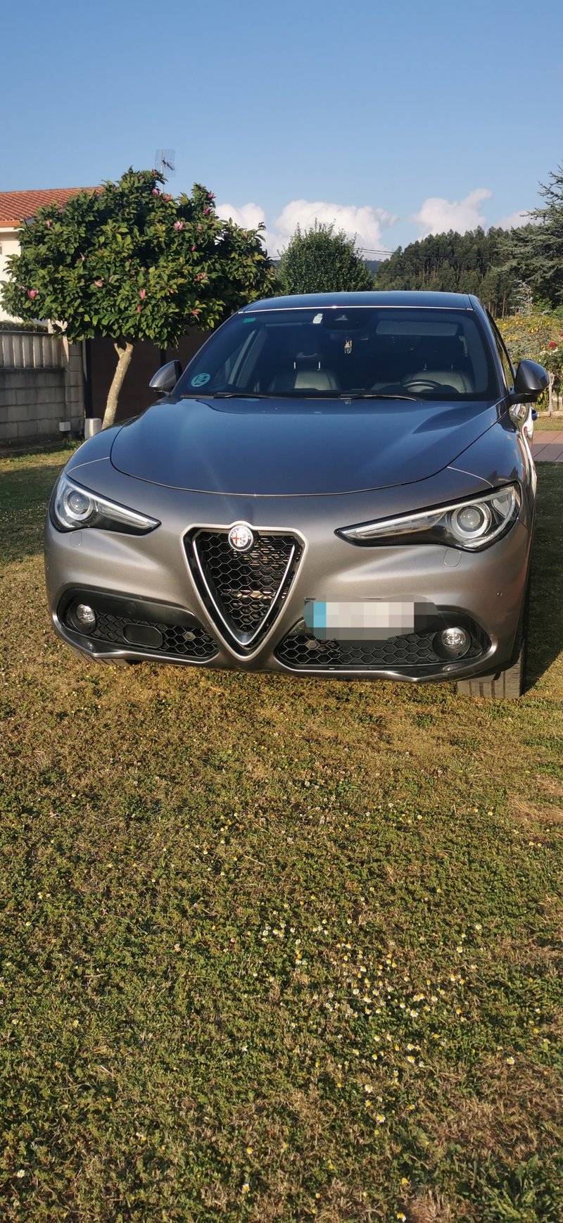 Alfa Romeo Stelvio 2019 - foto 1
